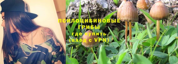 прущие крисы Аркадак