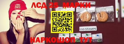 МДПВ Тула