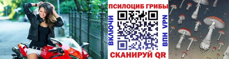 mega tor  Раменское  Псилоцибиновые грибы Psilocybe 