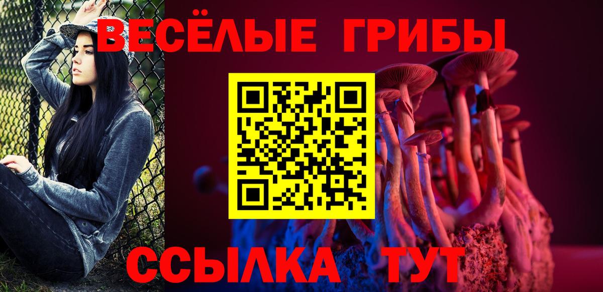 Раменское  Псилоцибиновые грибы мухоморы  дарнет шоп  Псилоцибиновые грибы ЛСД  Вход с VPN 